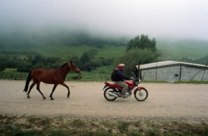 rune-nordrum-ElMollar-2015-148